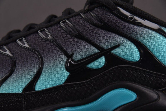 Nike Air Max Plus Black Aurora Green DM0032-016