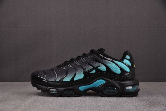 Nike Air Max Plus Black Aurora Green DM0032-016