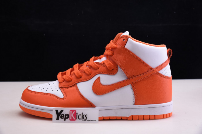 NIKE DUNK HIGH SB 307385-181