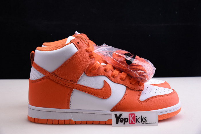 NIKE DUNK HIGH SB 307385-181