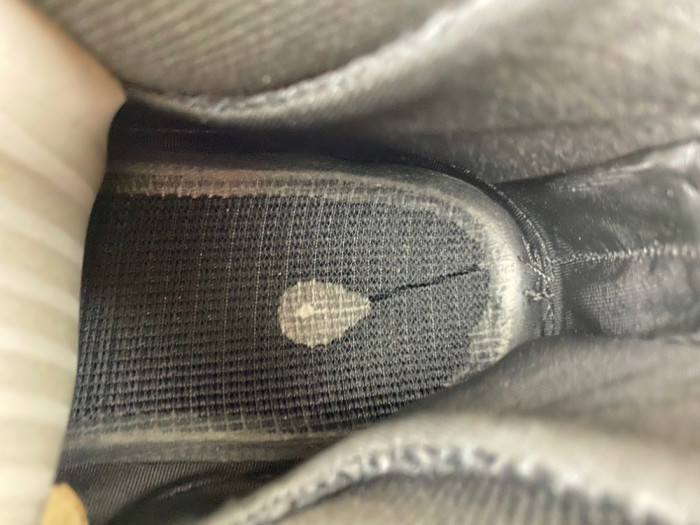 Nike Air Foamposite Pro Pine Green 2025 HF0794-300